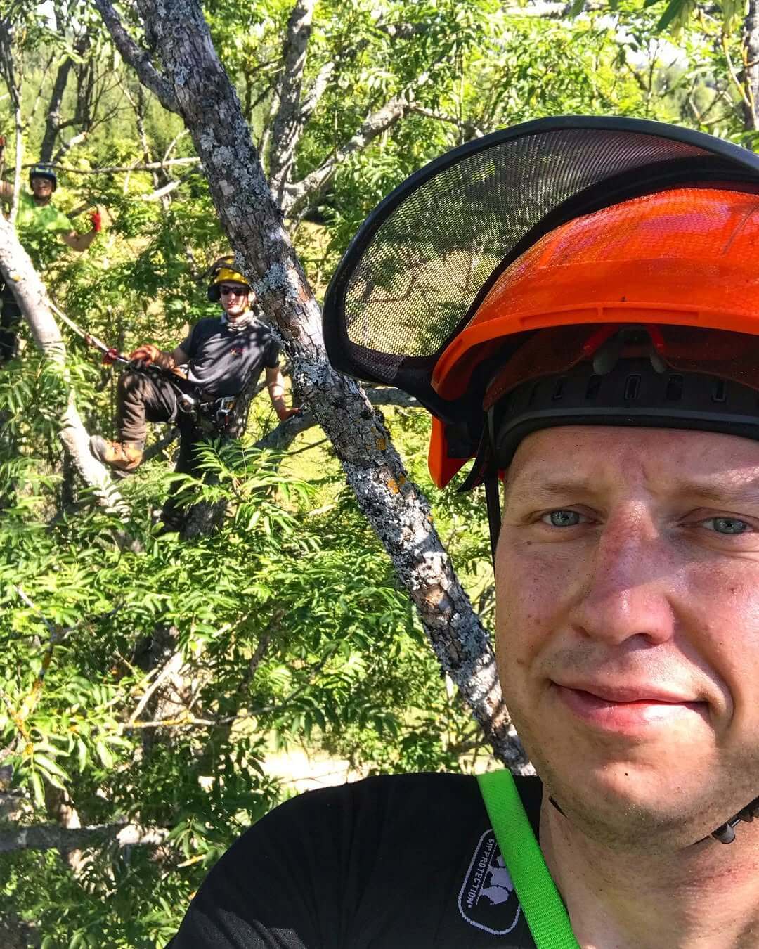 Raimond Menne arborist